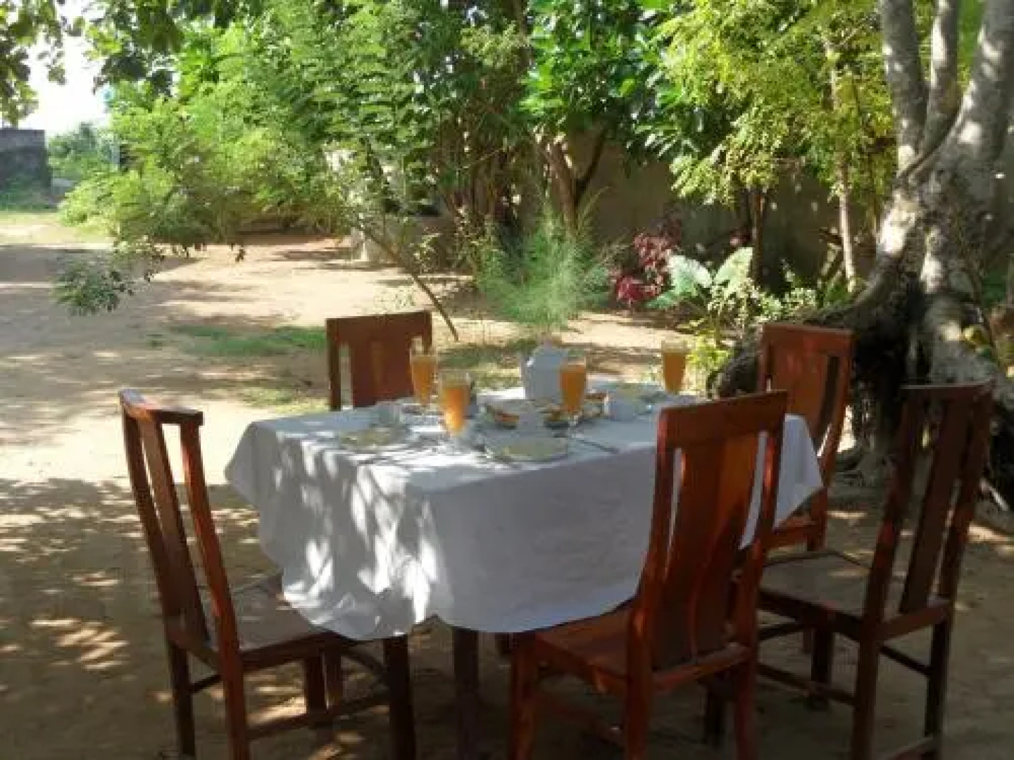 Dolce Vita Surf Rest Point