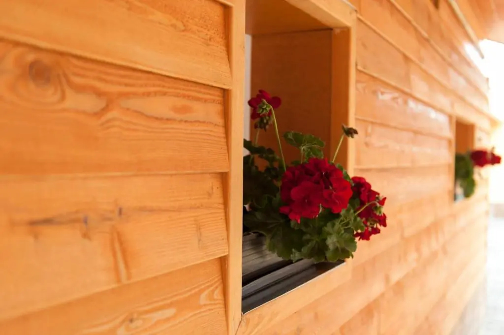 Dorottya Vendégház