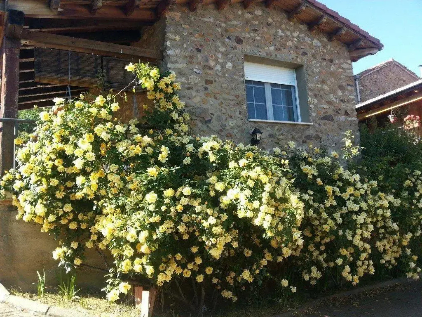 El Rincón De La Rosa 1