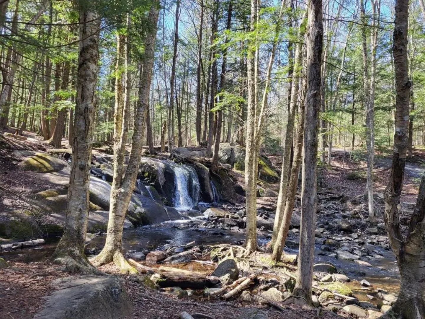 Au Gré Du Temps - Gîte B&B