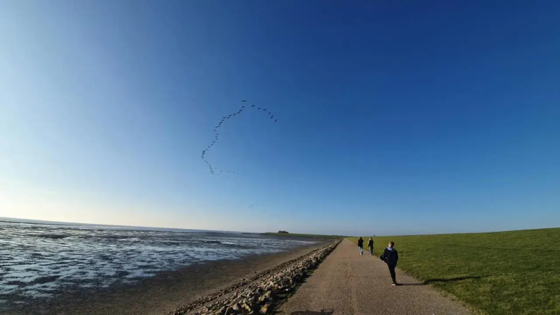 Reetdachhaus Moordeichperle