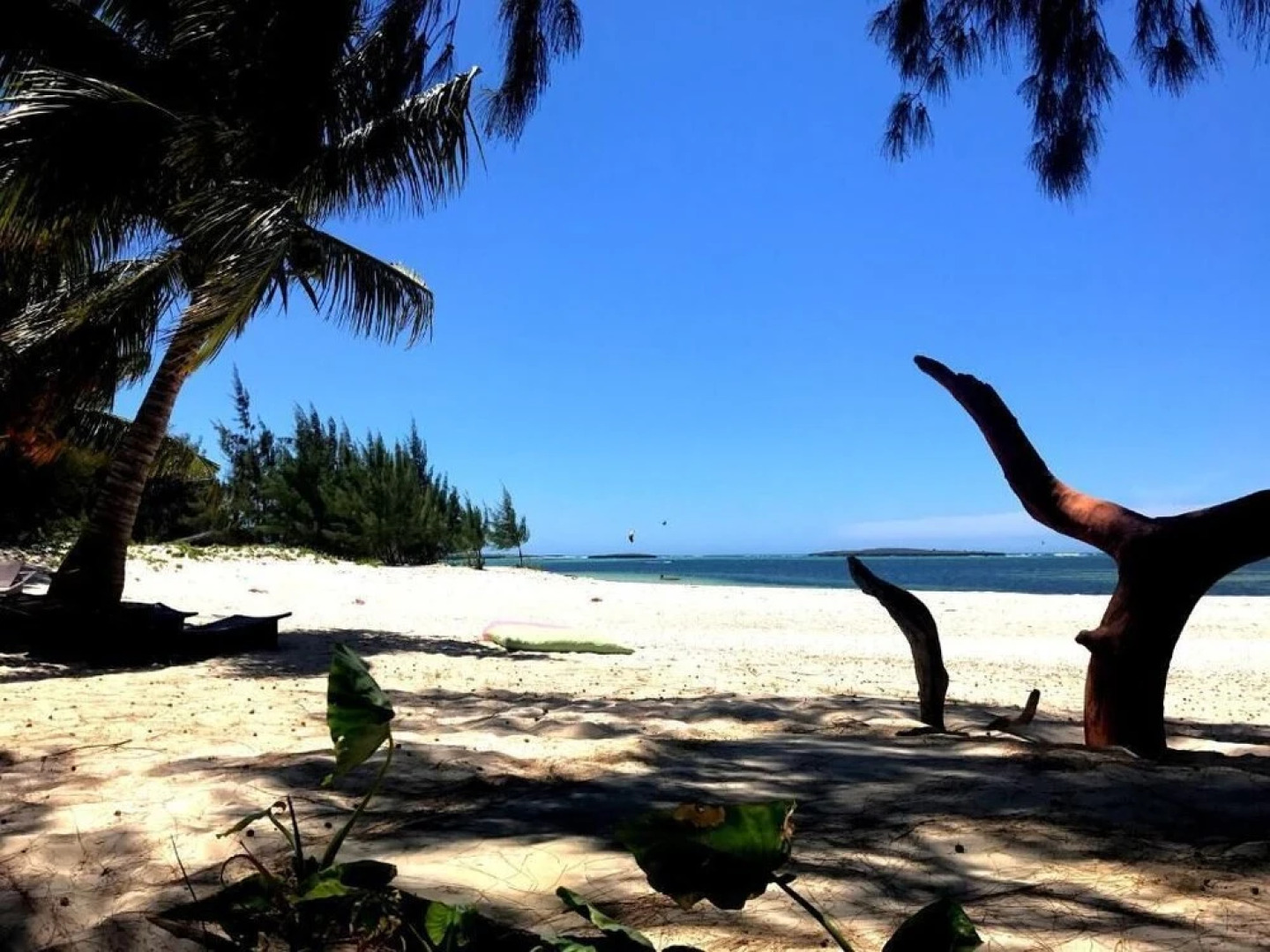 Hotel Bungalows Royal Sakalava