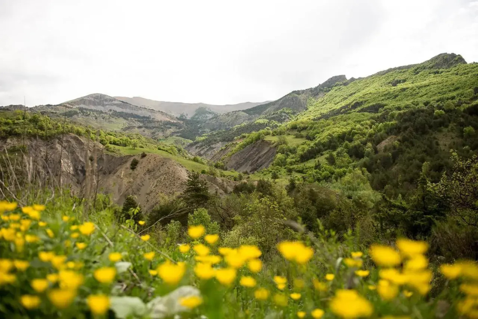Village Vacances Le Richelme