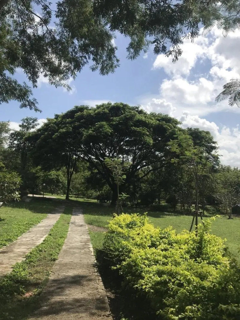 Suan Phueng Pa Wai Resort