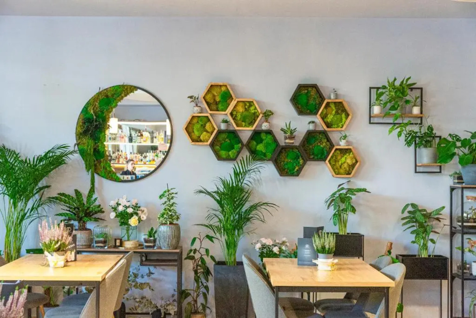 Hotel Cesarskie Ogrody