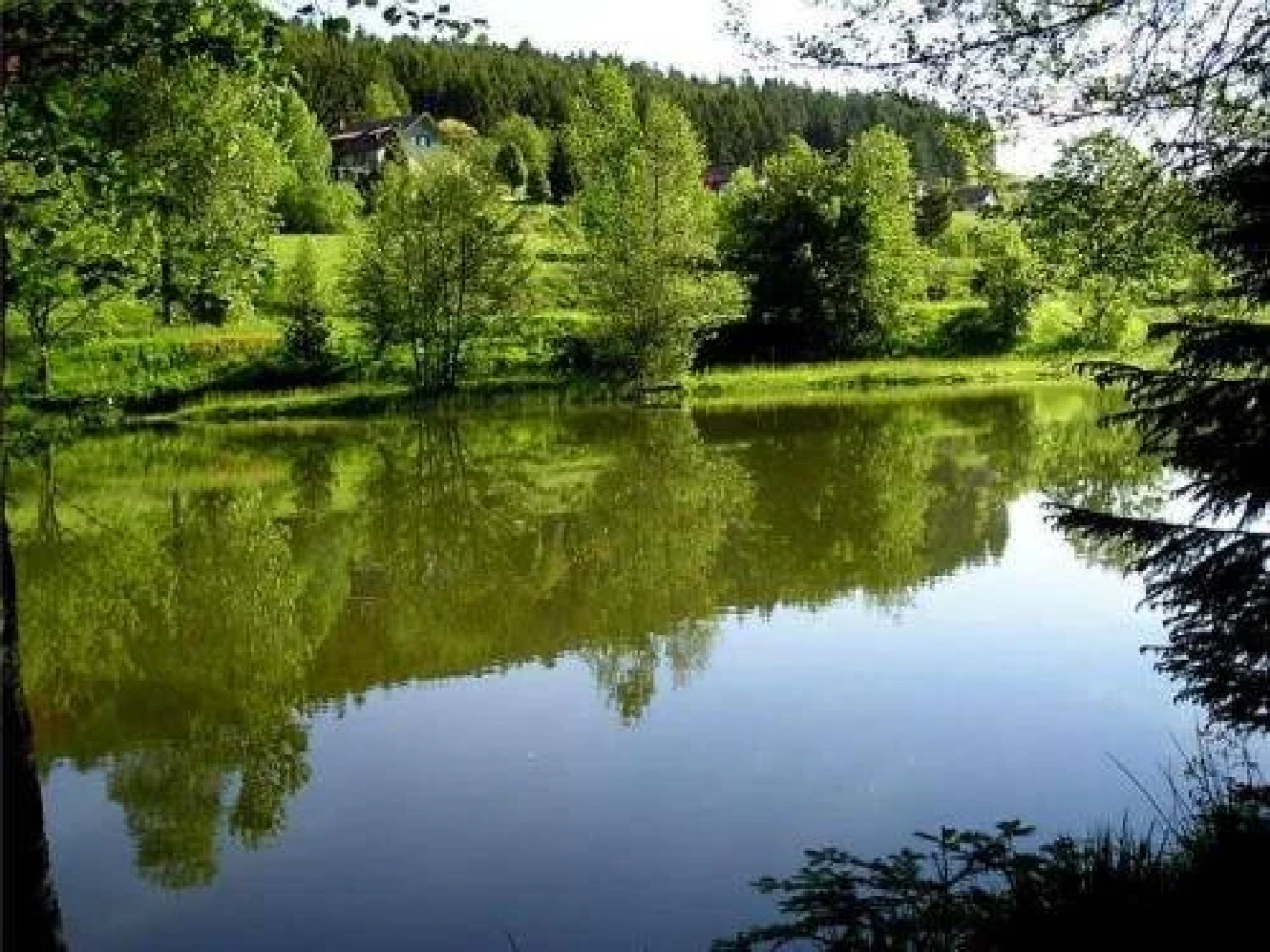 Domaine de la Vigotte - Chalets