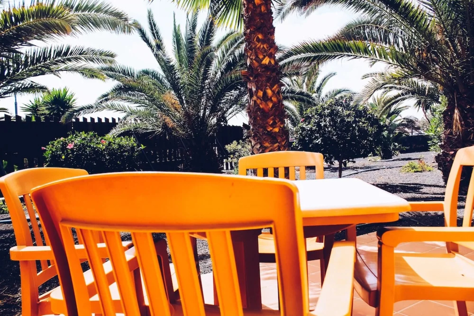 Oasis Fuerteventura Beach