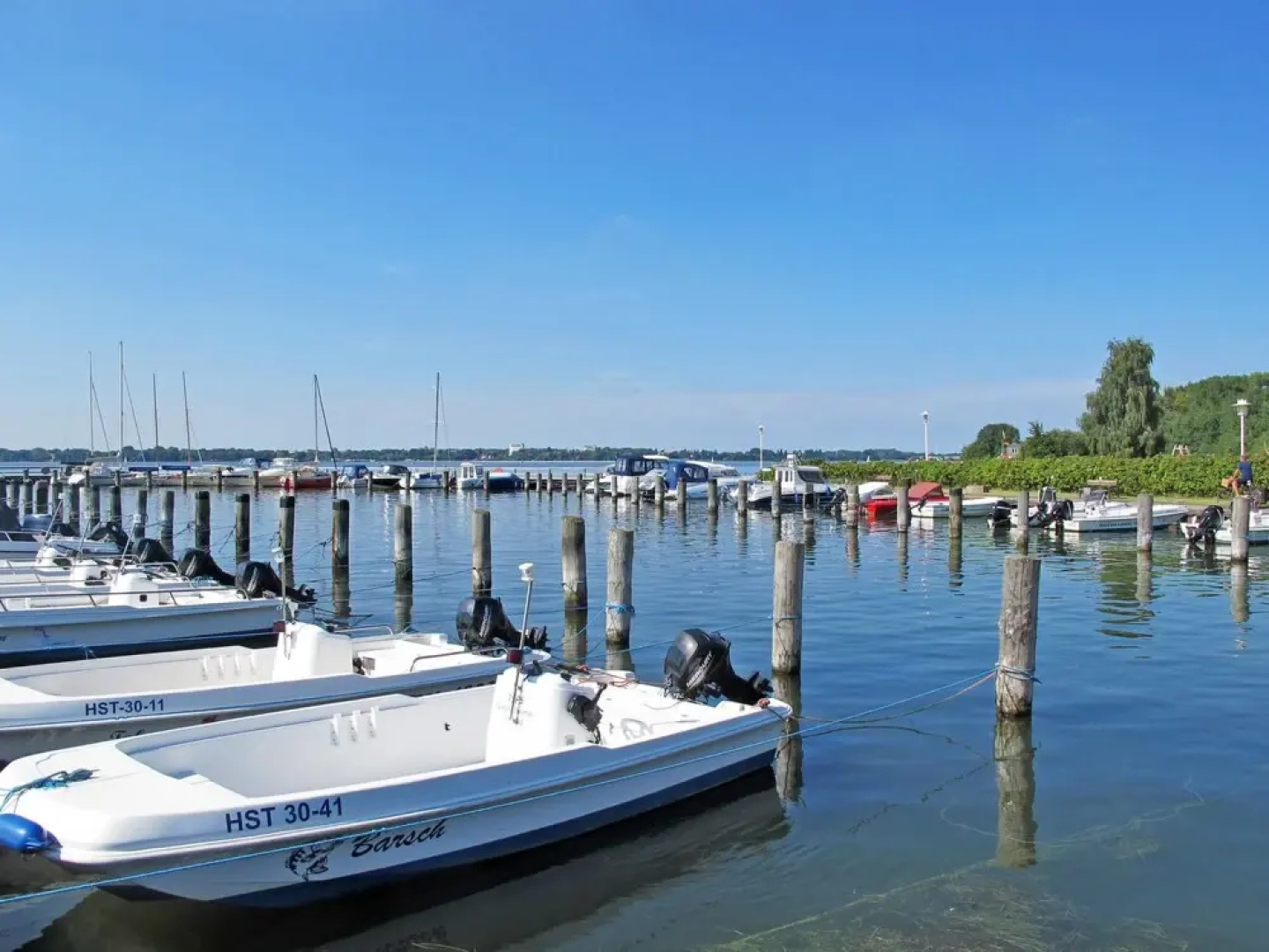 Sanddorn Altef hr in Altef hr