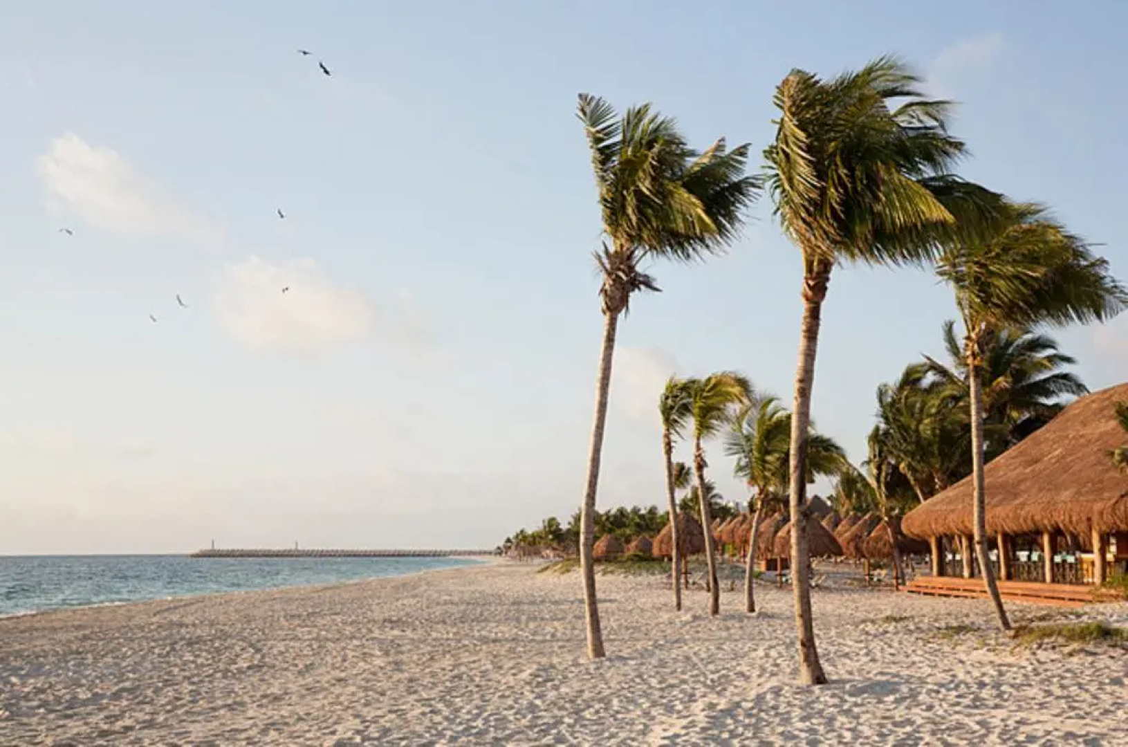 Finest Playa Mujeres by The Excellence Collection - All Inclusive