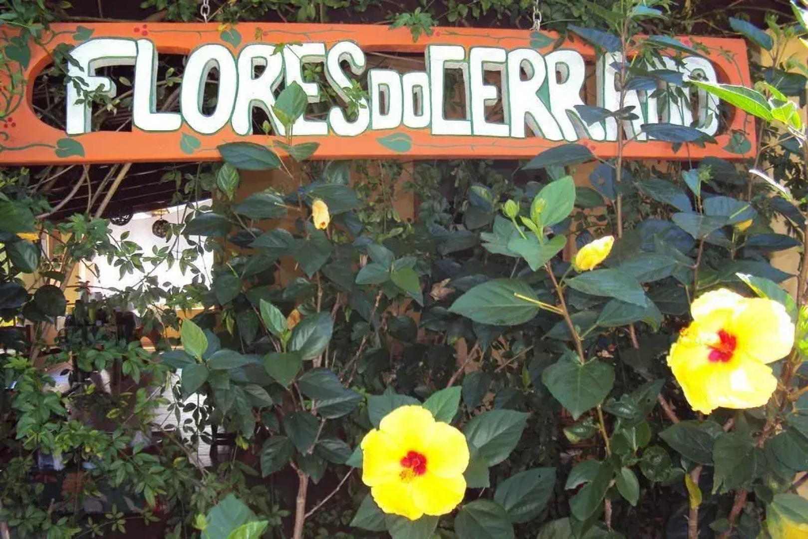 Pousada Flores do Cerrado