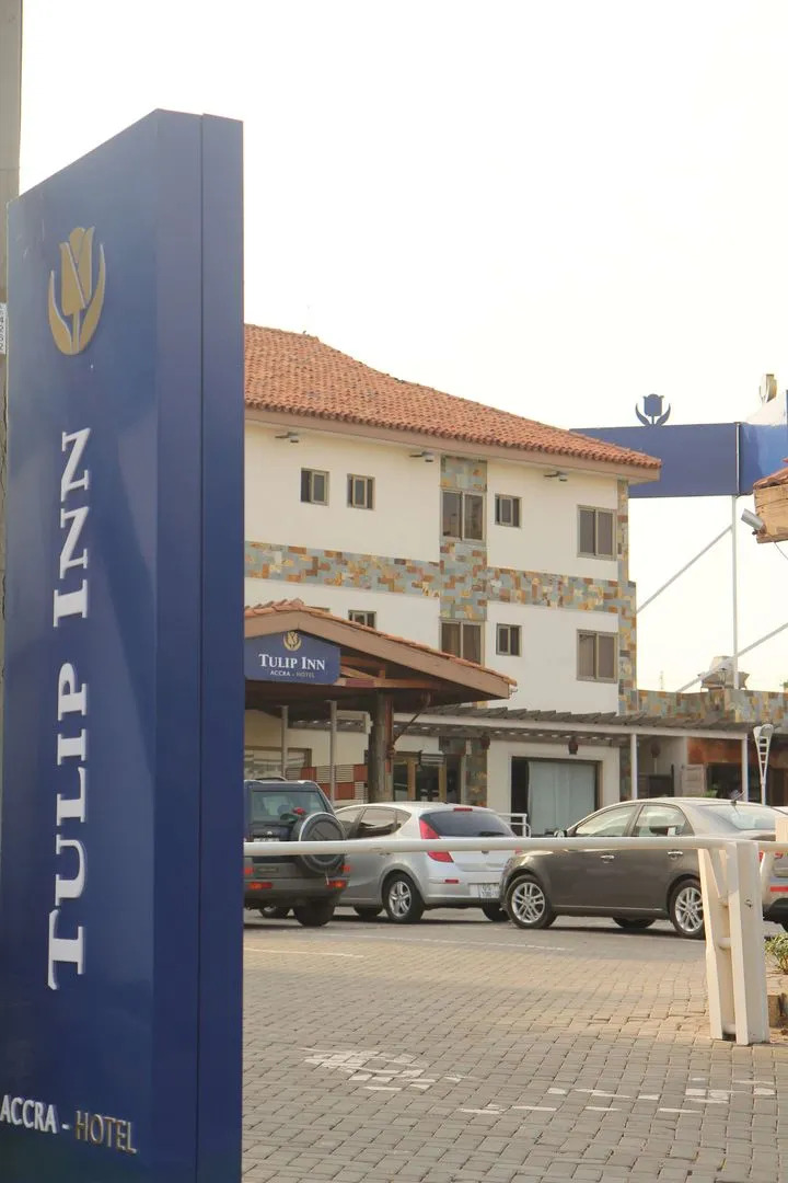 The Tulip By Ave Maria