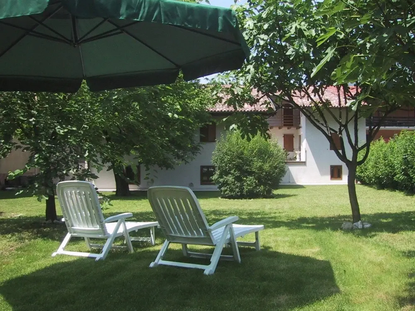 B&B Bluemind
