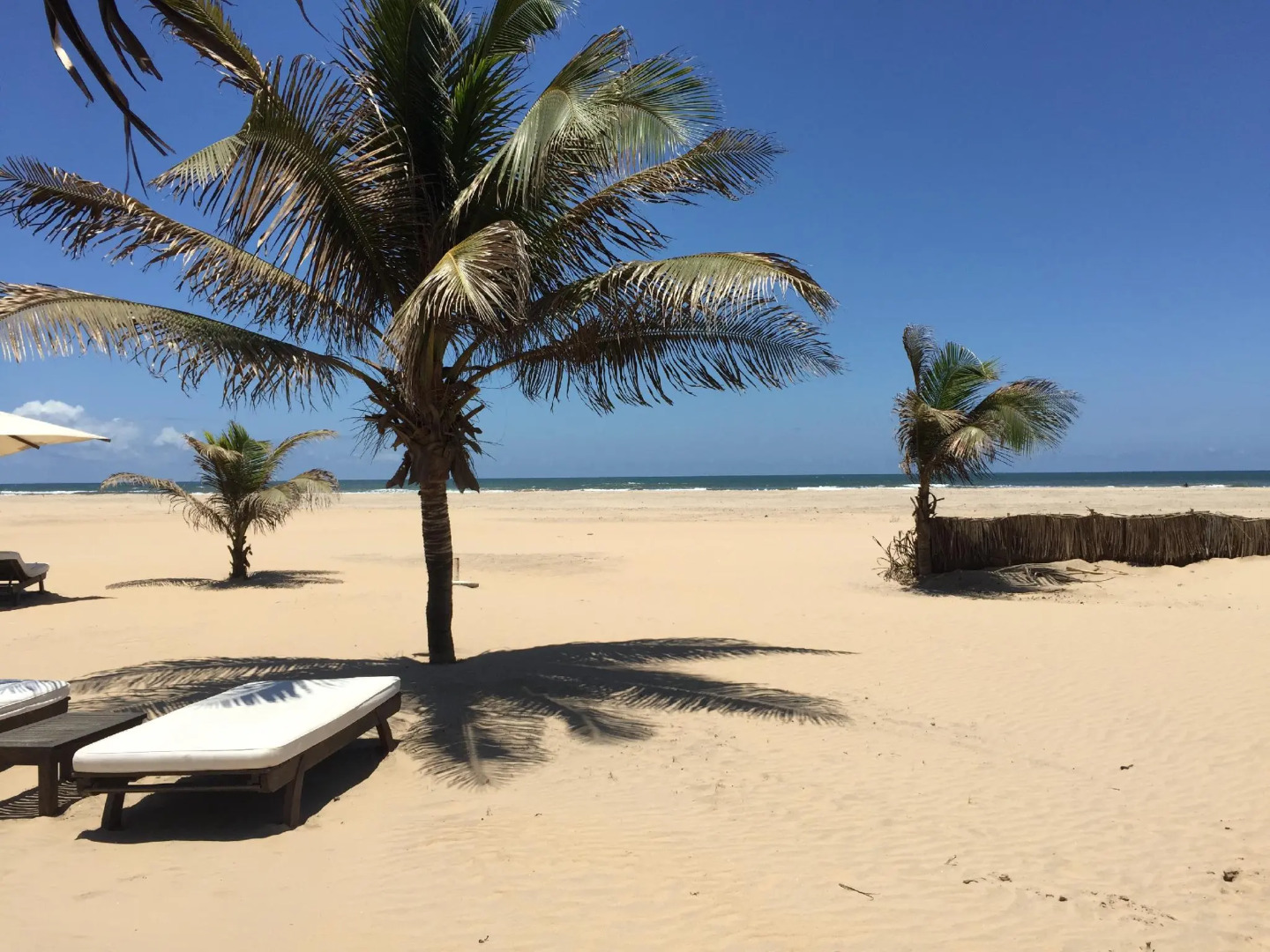 Ocean Beach Resort & Spa