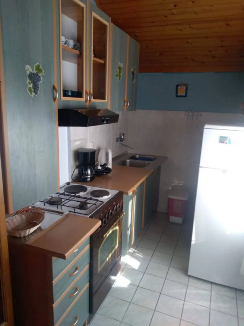 Apartment Tomi - with a large terrace (30m2): A1 Tribunj, Riviera Sibenik