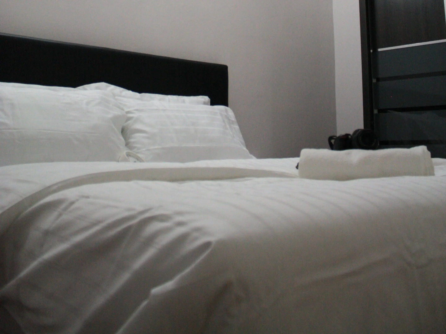 Senyum Zoo Negara Retreat