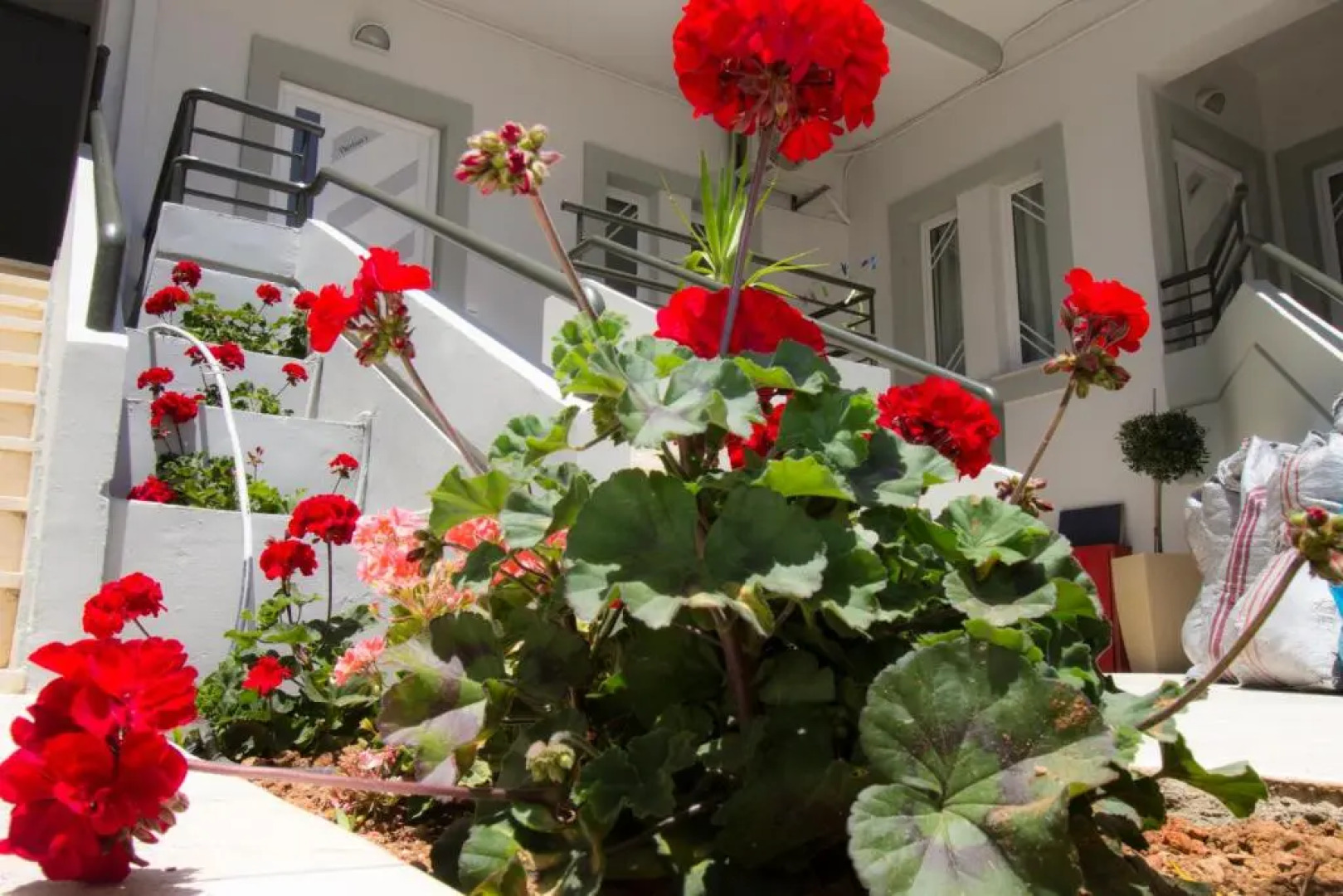 Elia Stalos Apartments