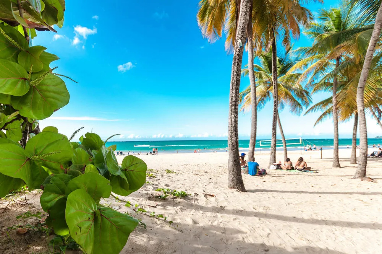 Luxury Retreat by the Sea