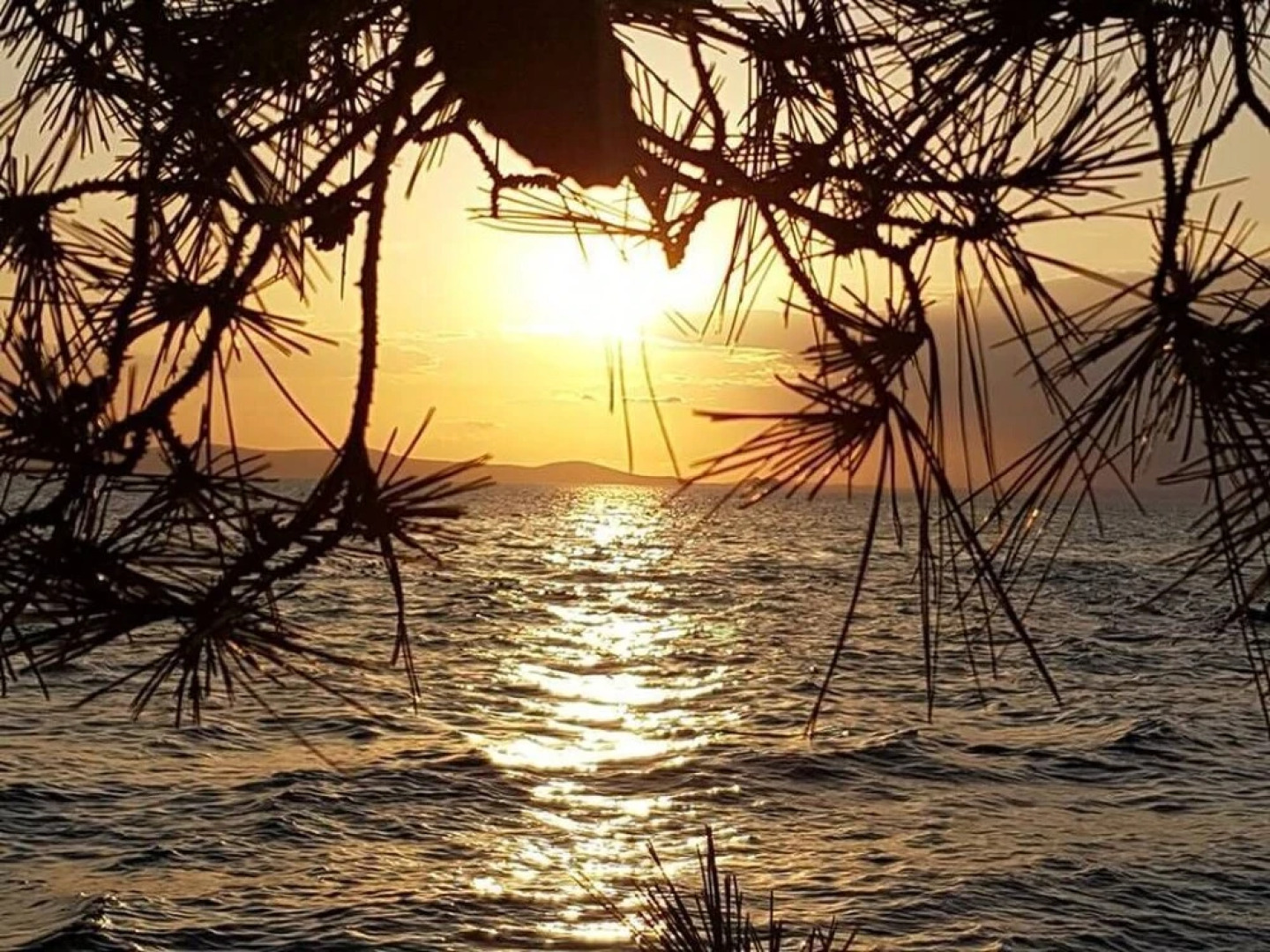 Apartments Anita Punta Skala