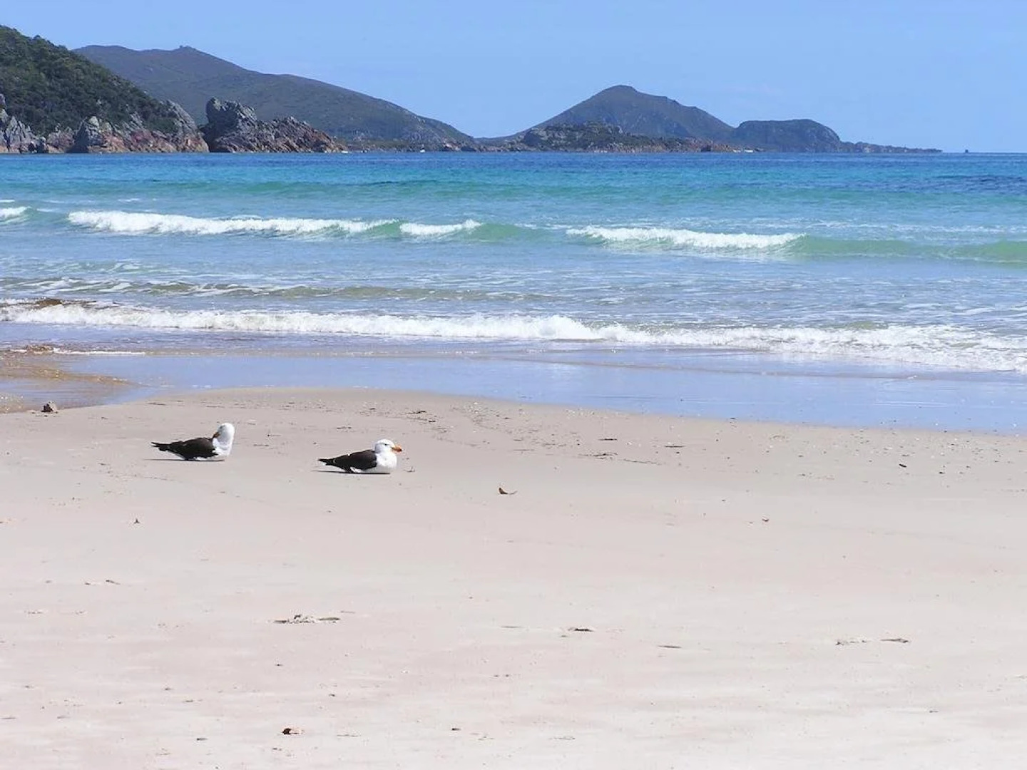 Eagles Rise Tasmania