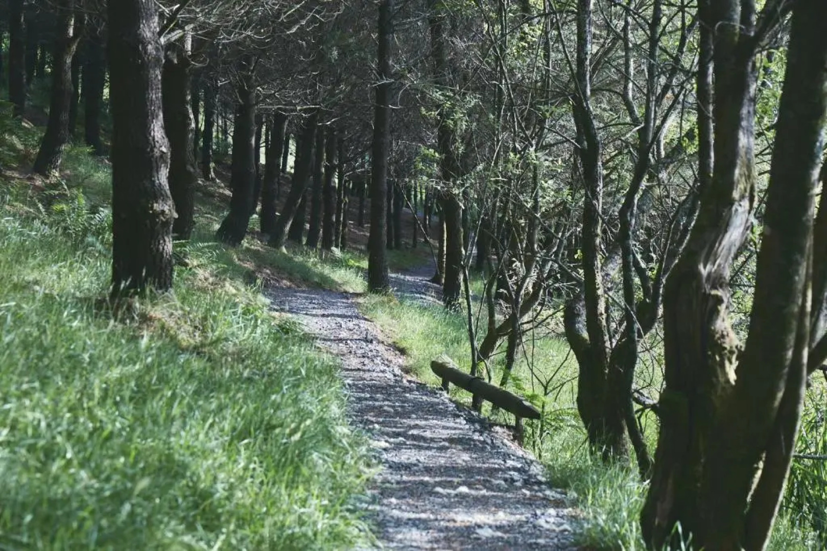 Raven Yurt - Yurtopia