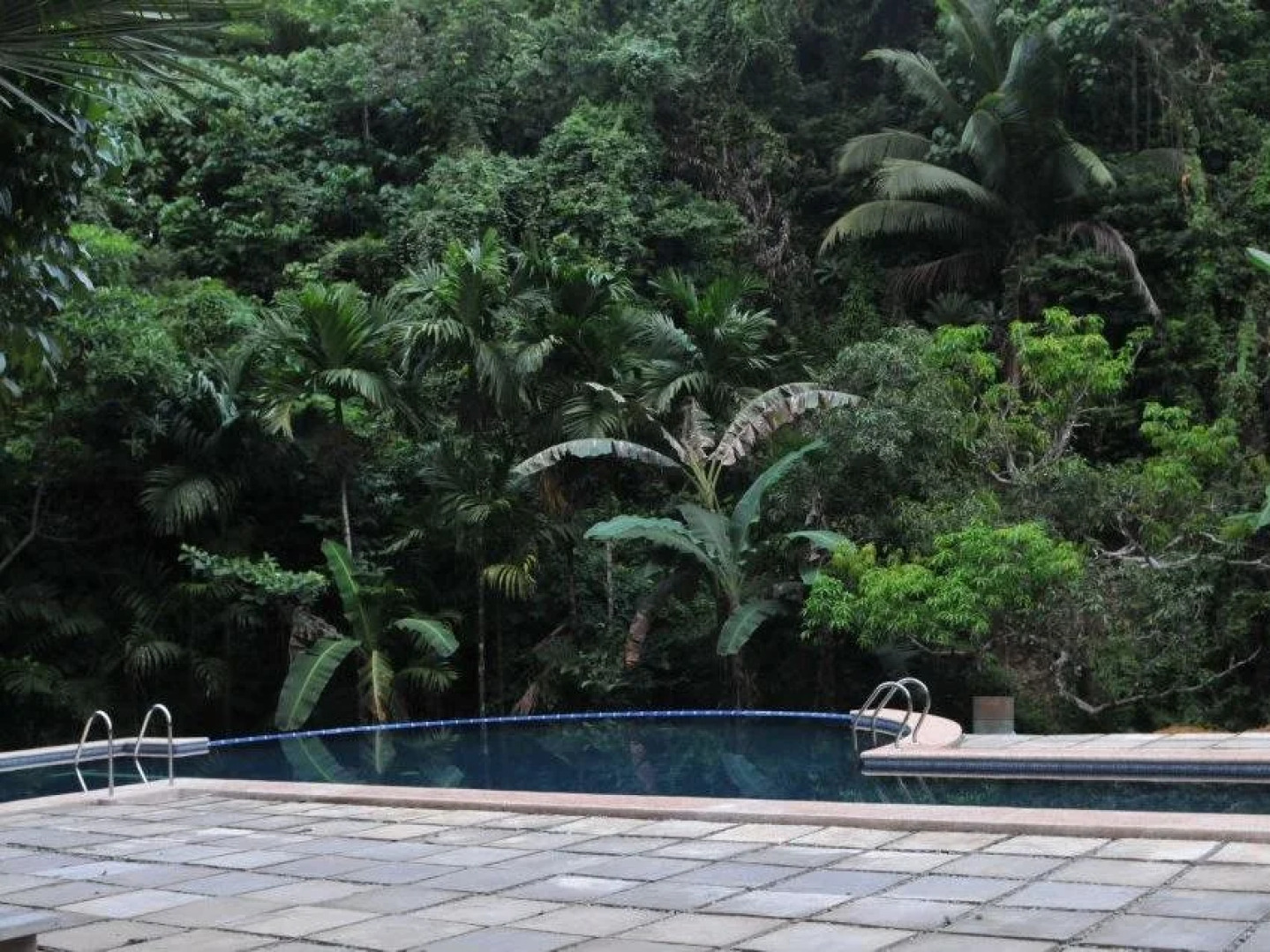 Camp Alfredo Adventure Resort