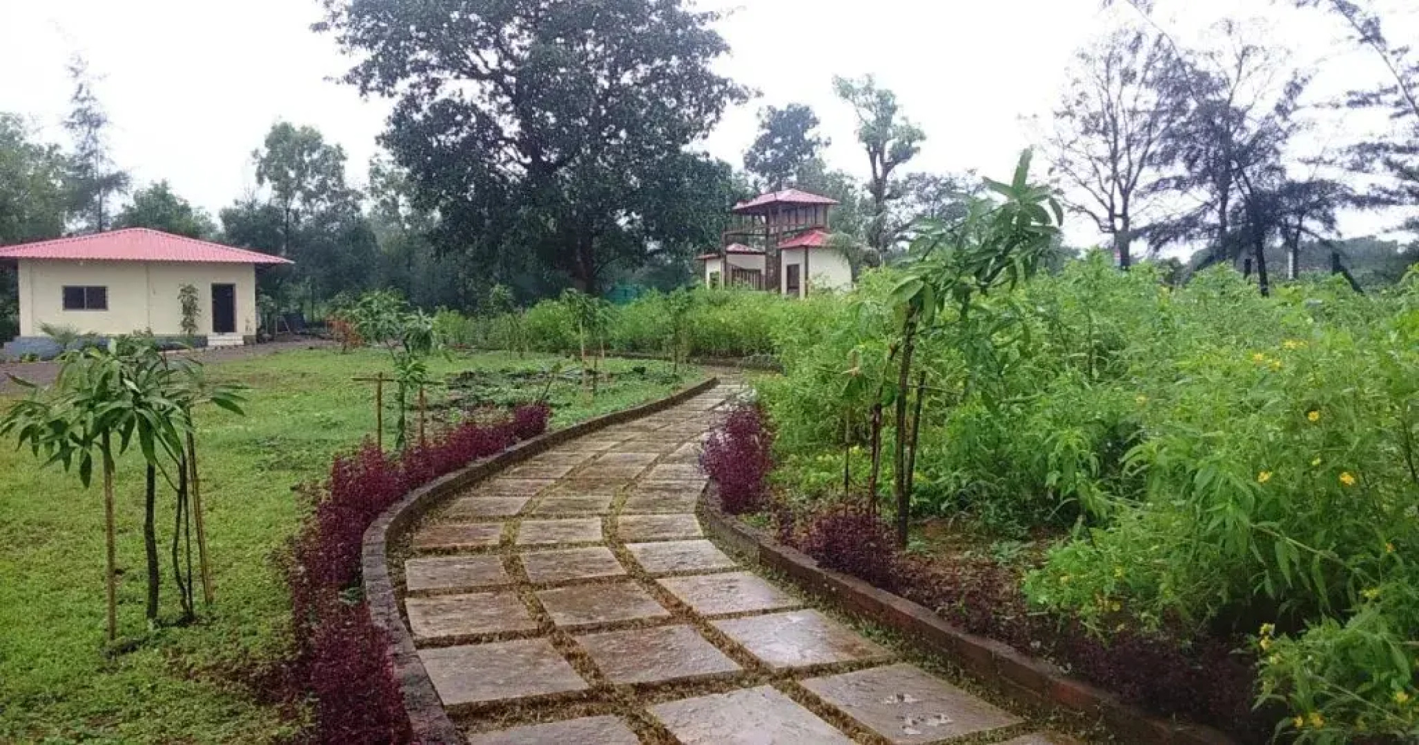 Prakriti Agro Farm