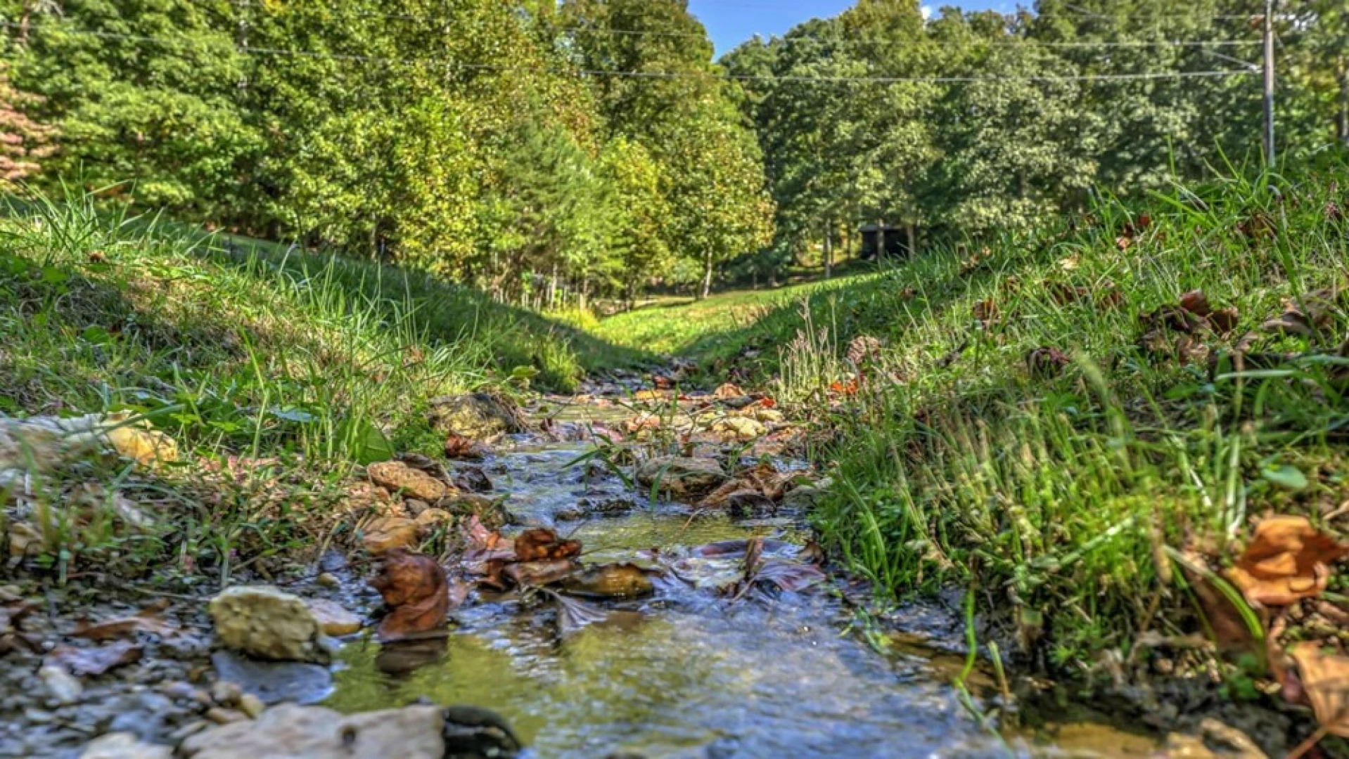 Ralph and Irene's by Escape to Blue Ridge