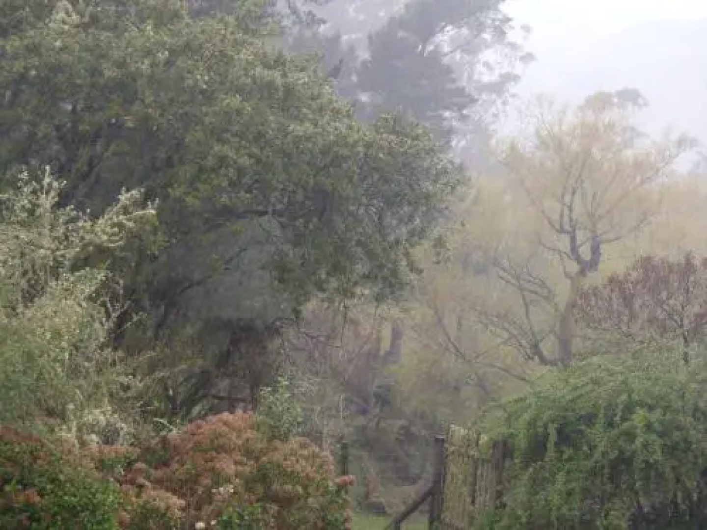 Blackberry Hill Farm