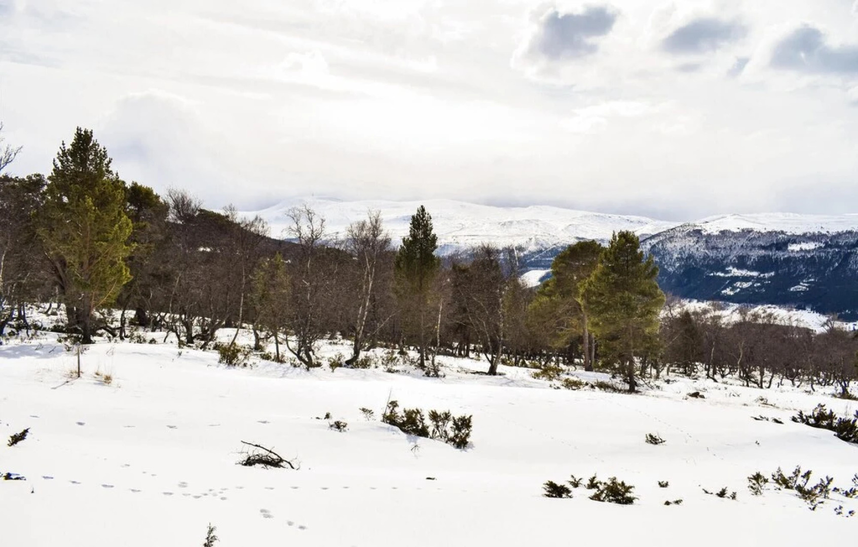 Amazing Home in Dovre With Sauna and 3 Bedrooms