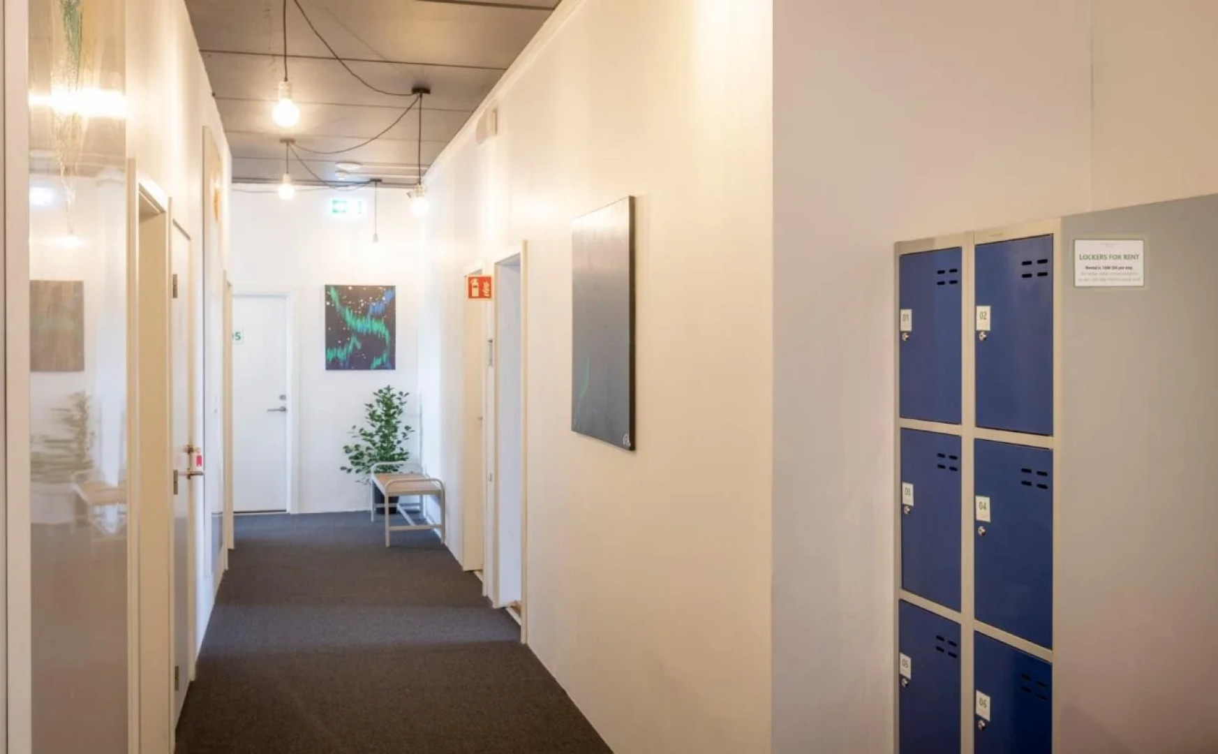 Vibrant Iceland Hostel