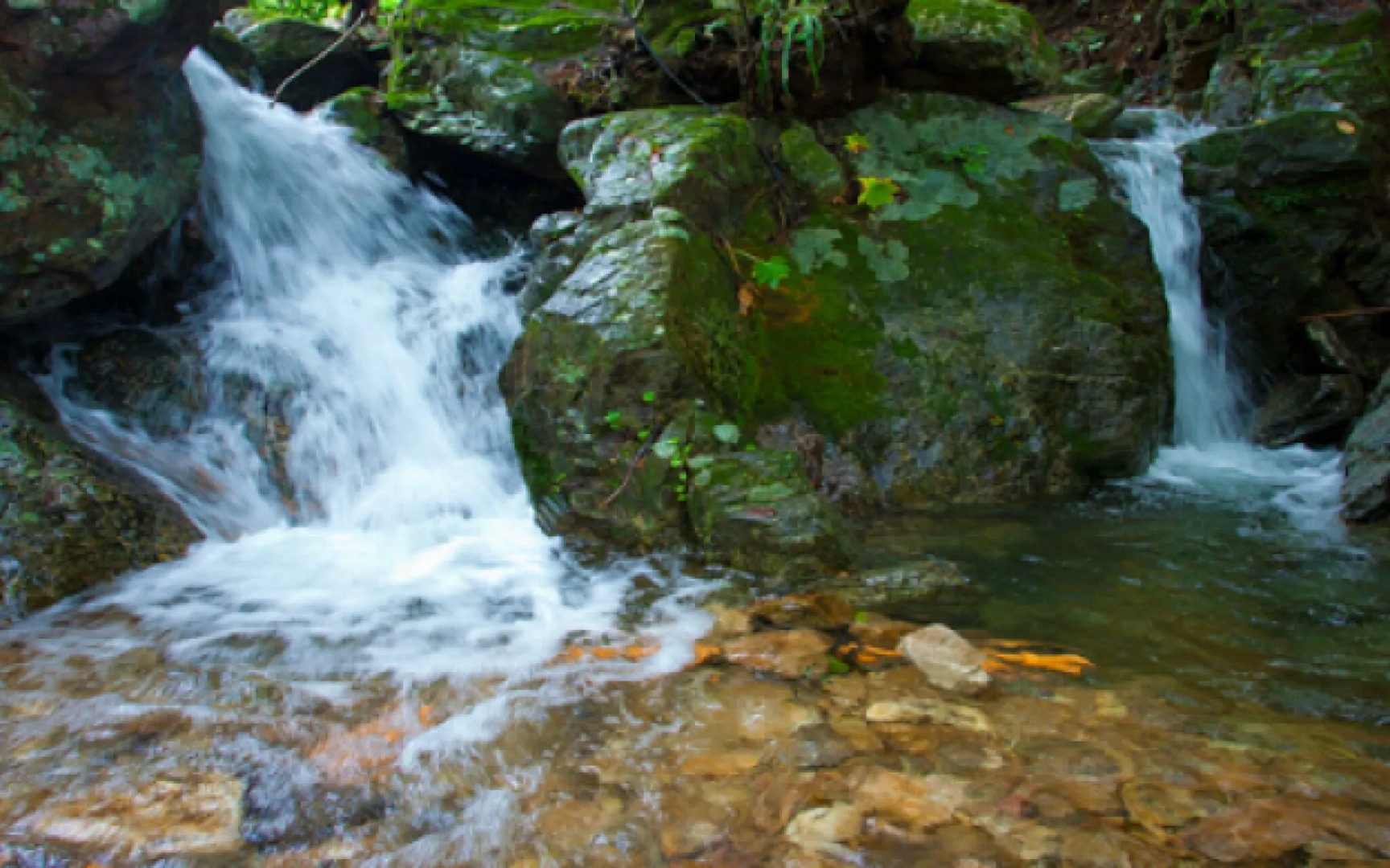 Yangpyeong Terra Pension