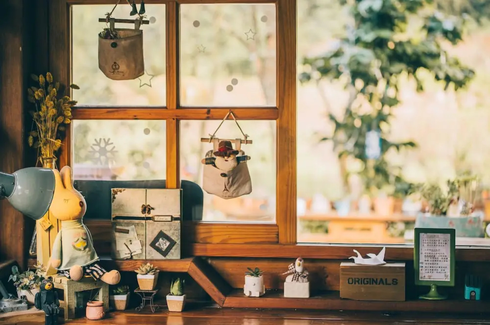 Nanzhuang Olive Tree