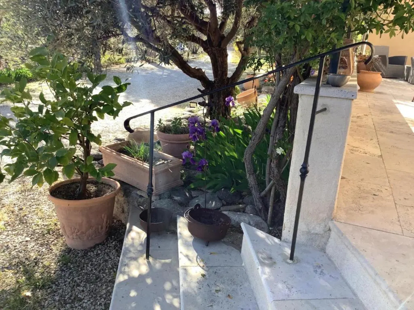 Jardin D'antan