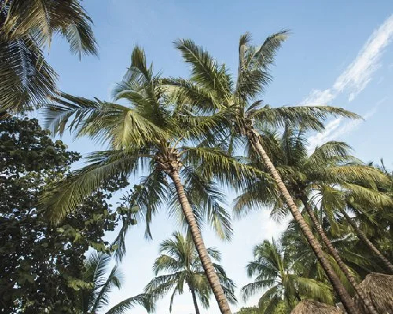 Viva Vacation Club At Viva Dominicus Palace Wyndham, Bayahibe, Dominican Republic