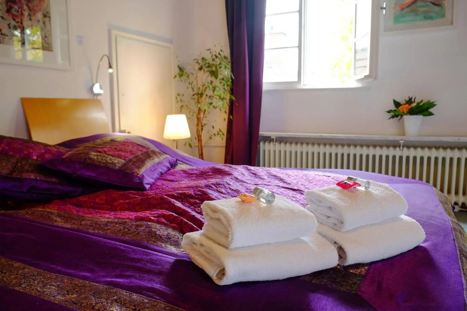 RheinRiver Guesthouse - Direkt am Rhein