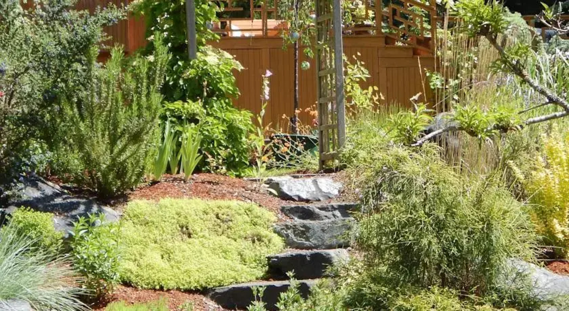 Green Cat Guest House