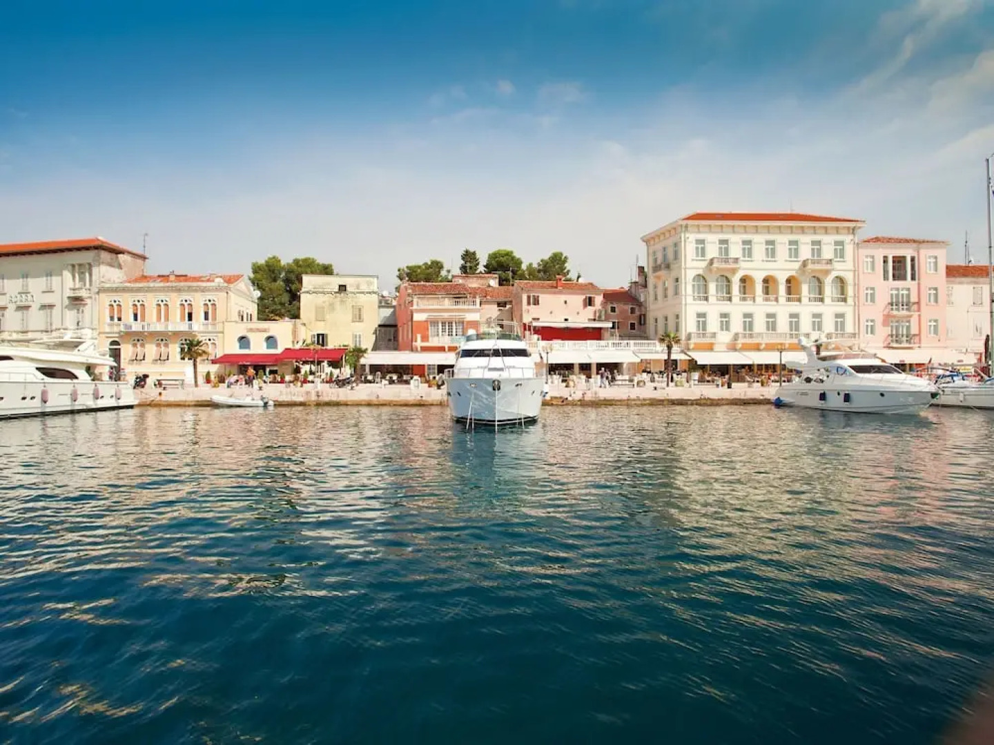 Villa in Vabriga With Private Pool & Garden