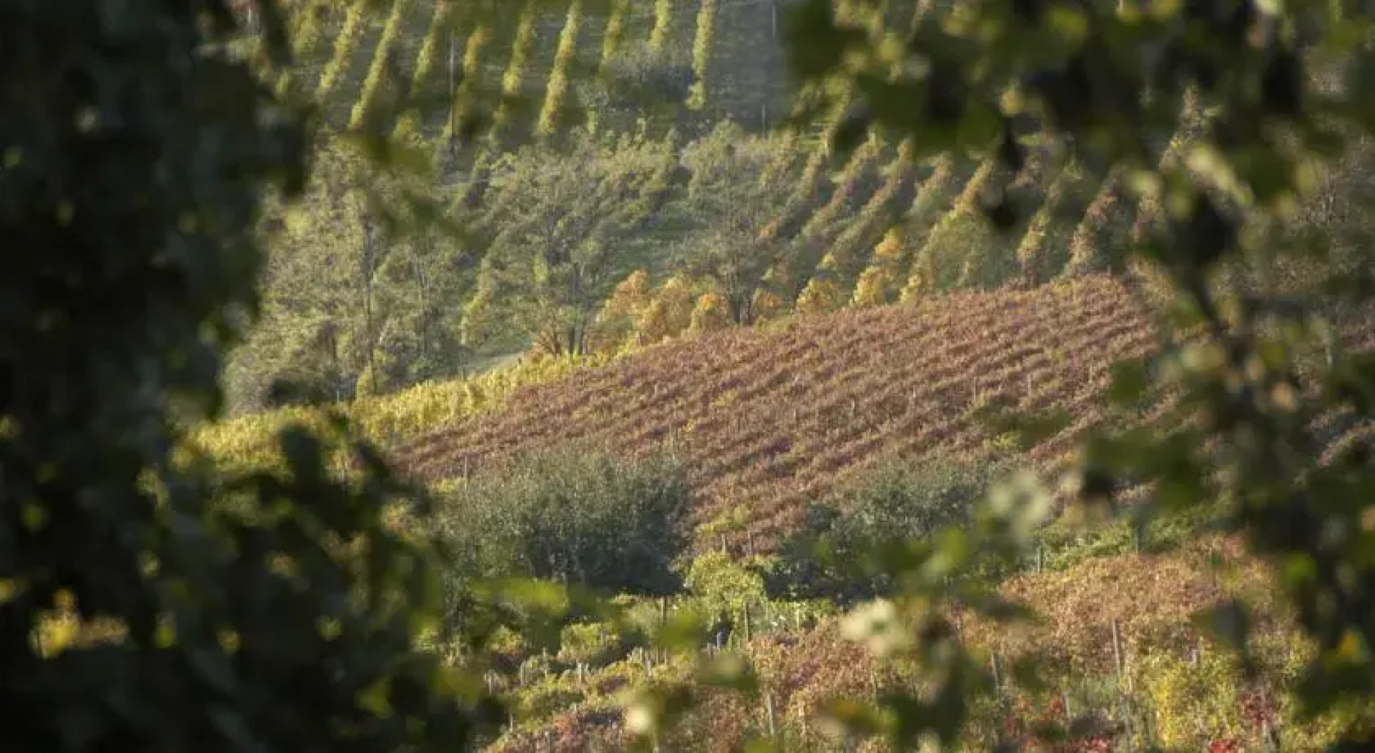 Bed and Breakfast San Carlo