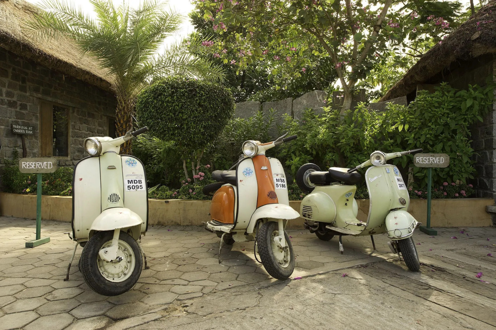 Halez Sparsa Thiruvannamalai