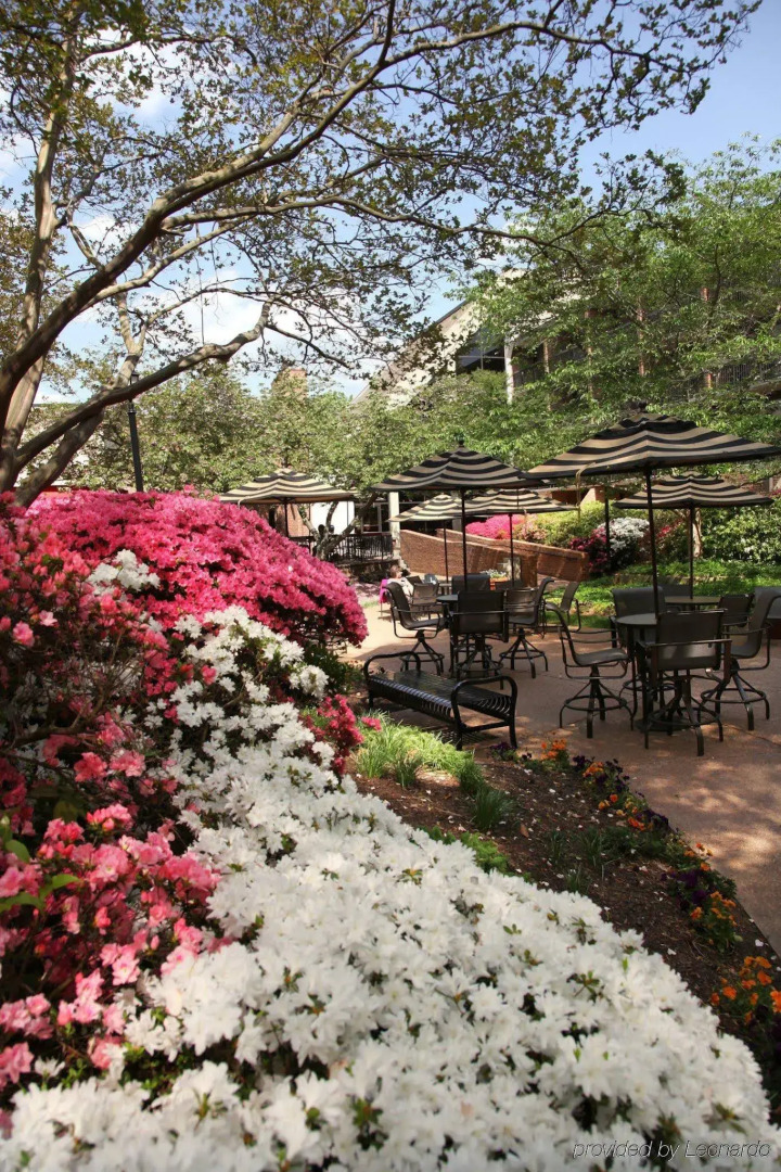 Fort Magruder Hotel Trademark Collection by Wyndham