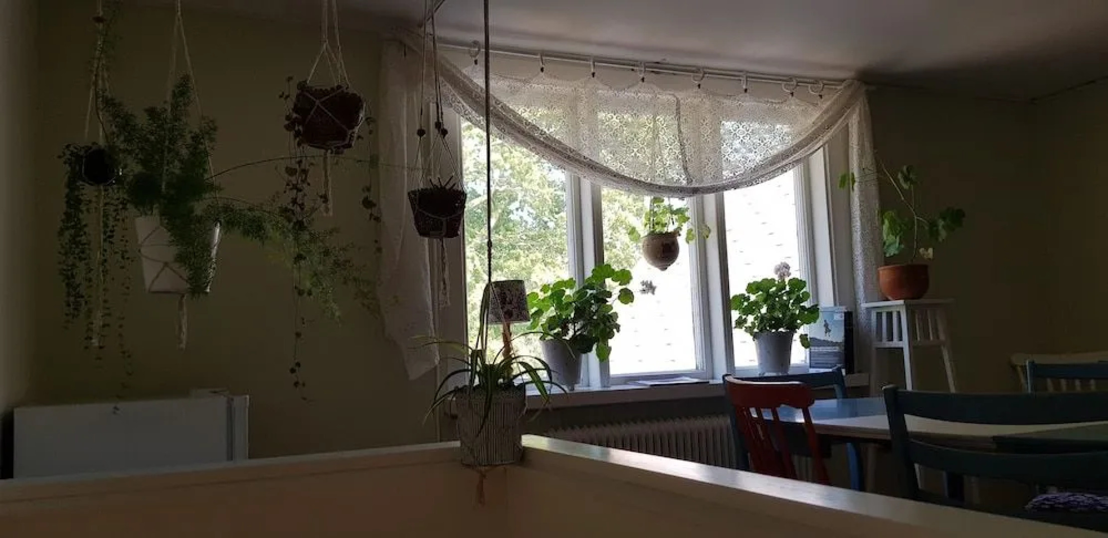 Horvan Bokkafé & Bed & Breakfast