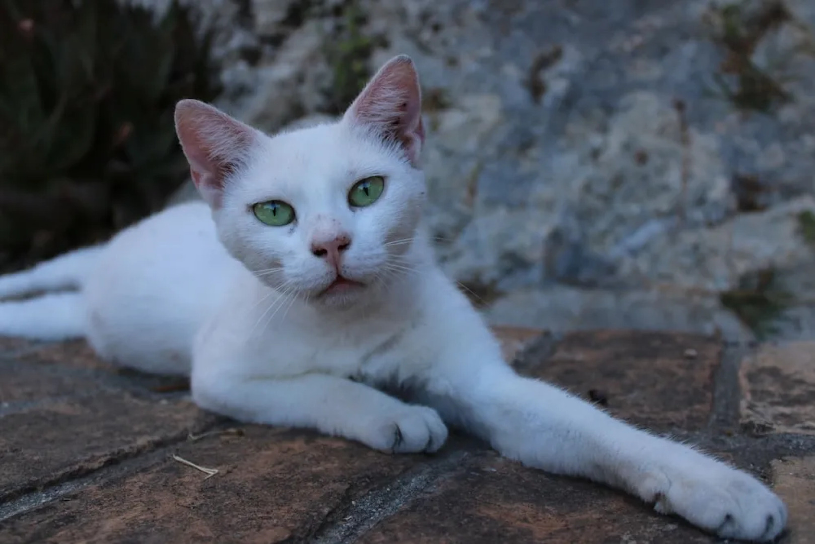 Zefiros Traditional Hotel