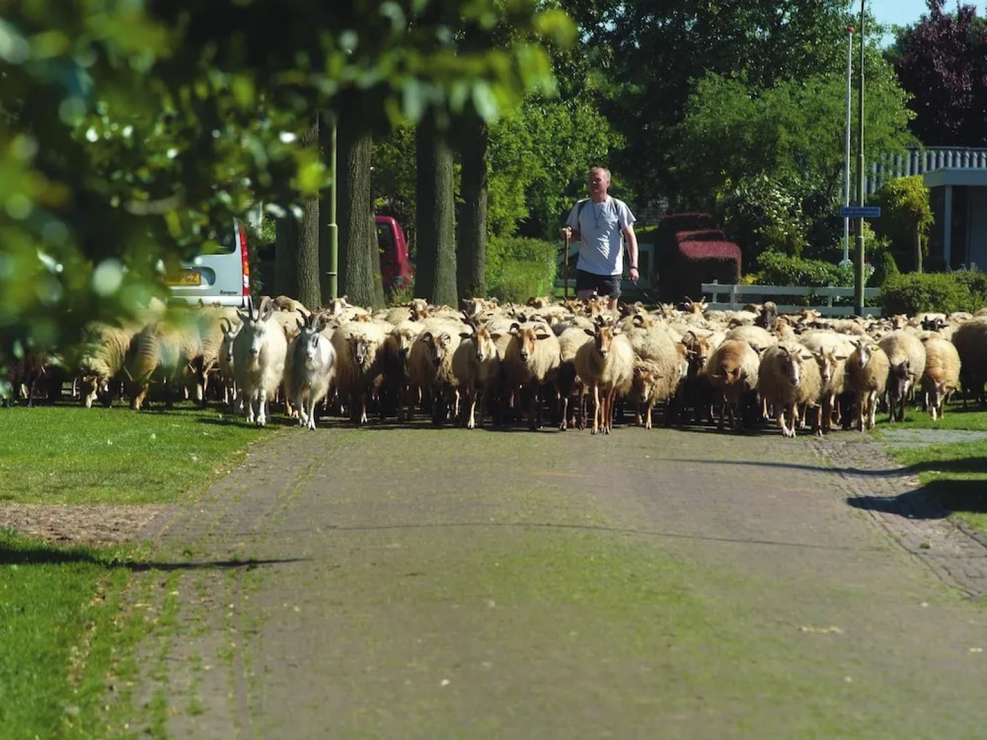 Appealing Chalet With Combi-microwave, Next to a Nature Reserve