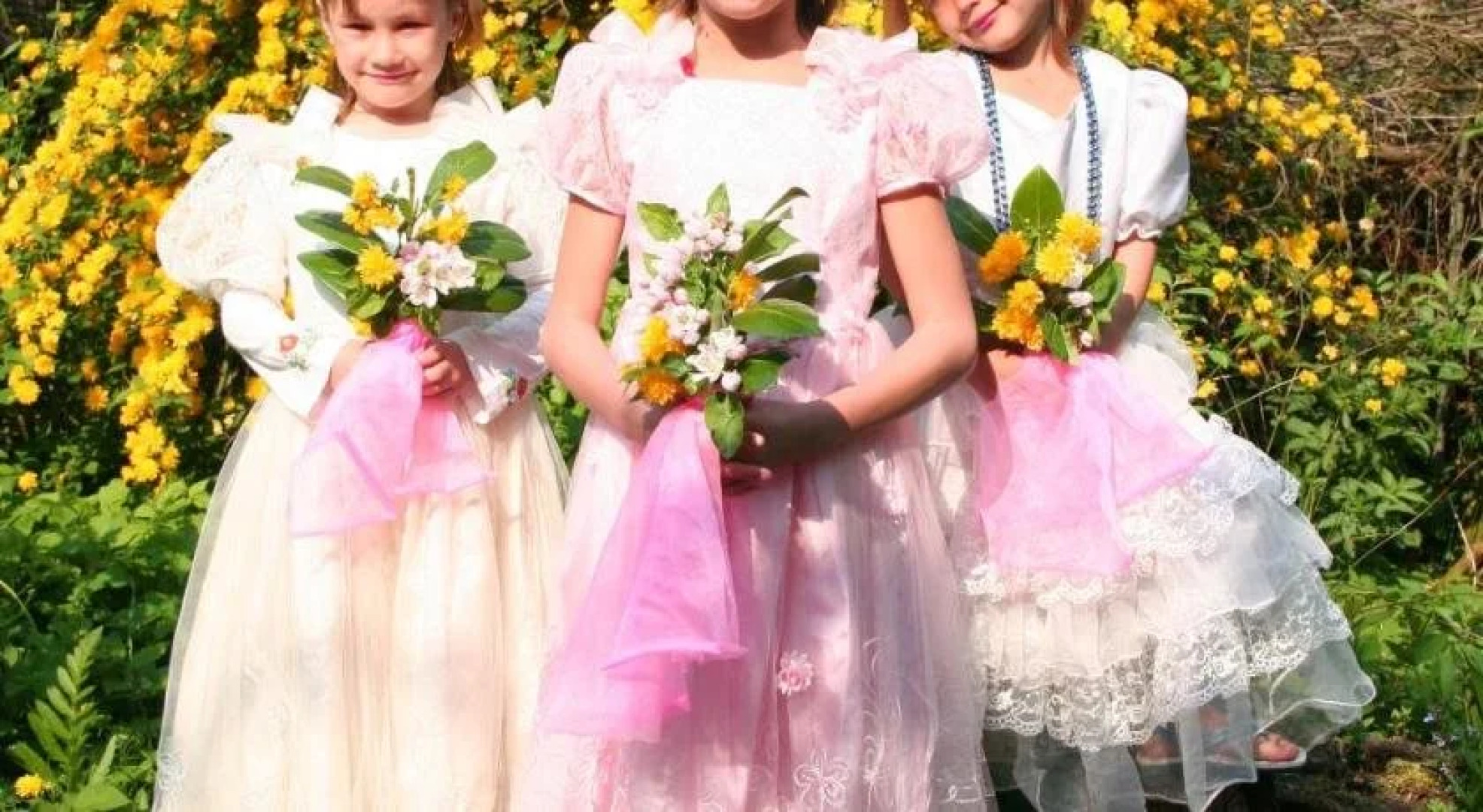 Koningin van Pieterburen