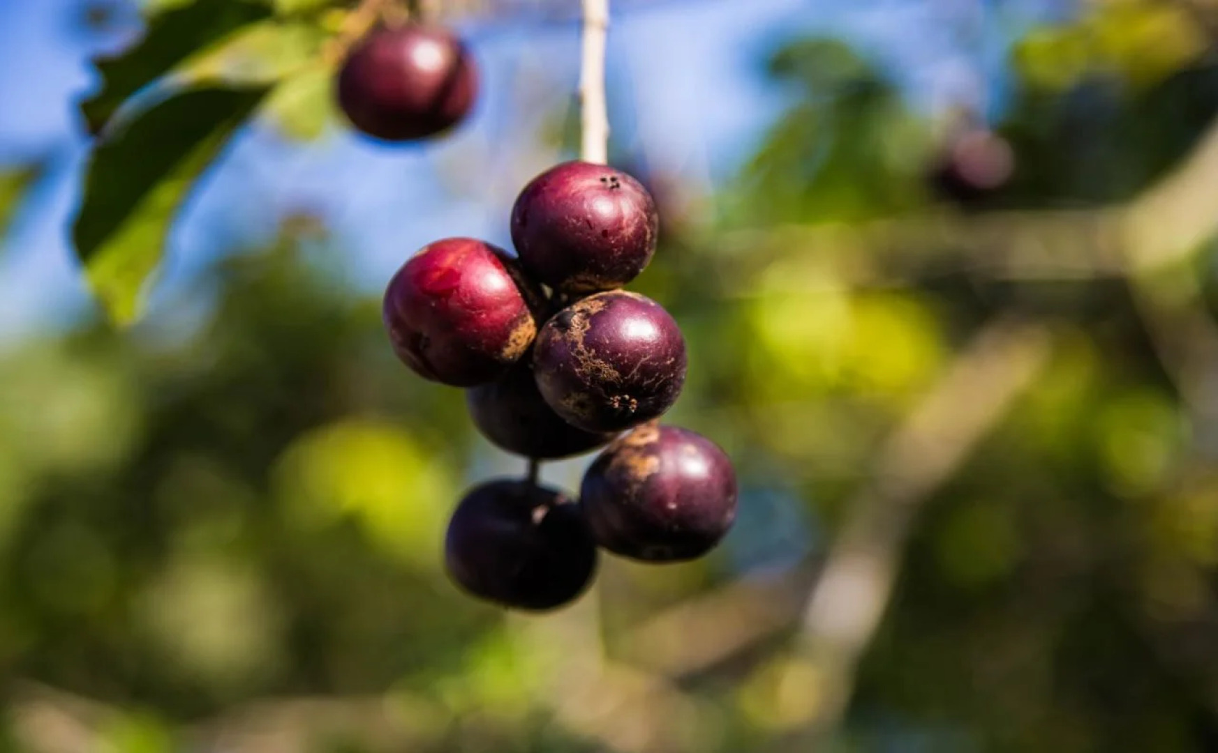 Tawanchay Hotel Phatthalung