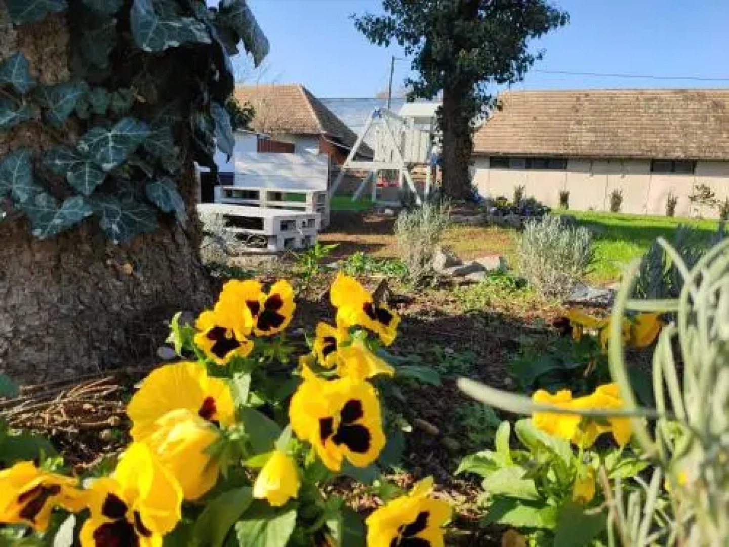 LuDo Apartman Hotel & Spa