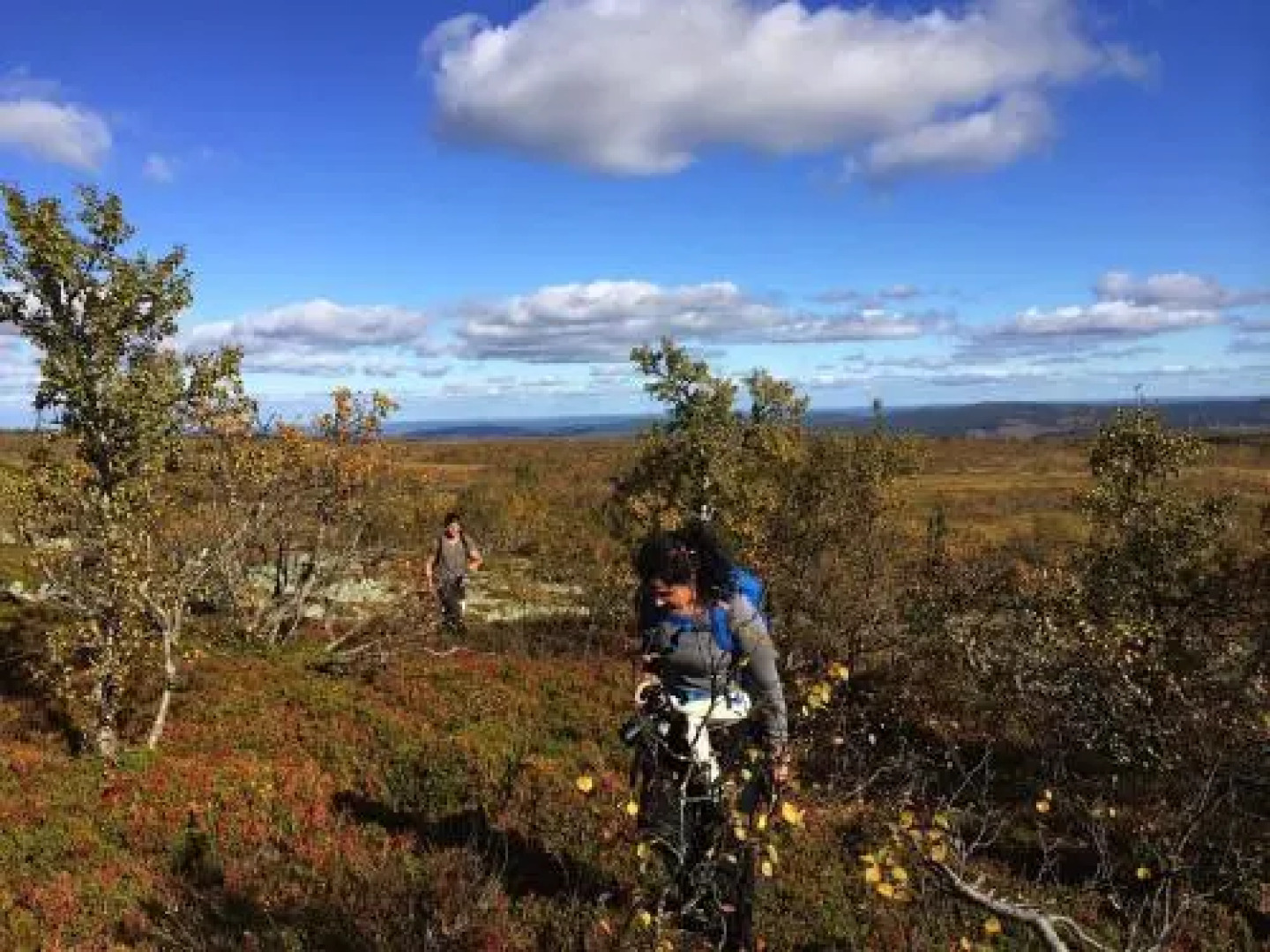 Skalshöjden Vemdalsskalet