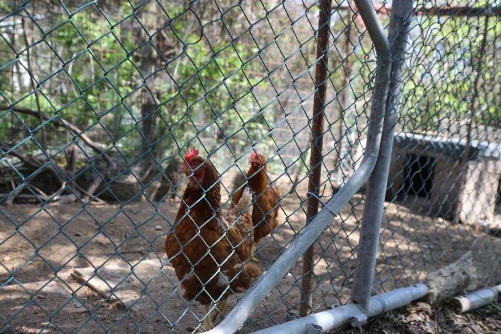 Appartamenti Il Palazzaccio