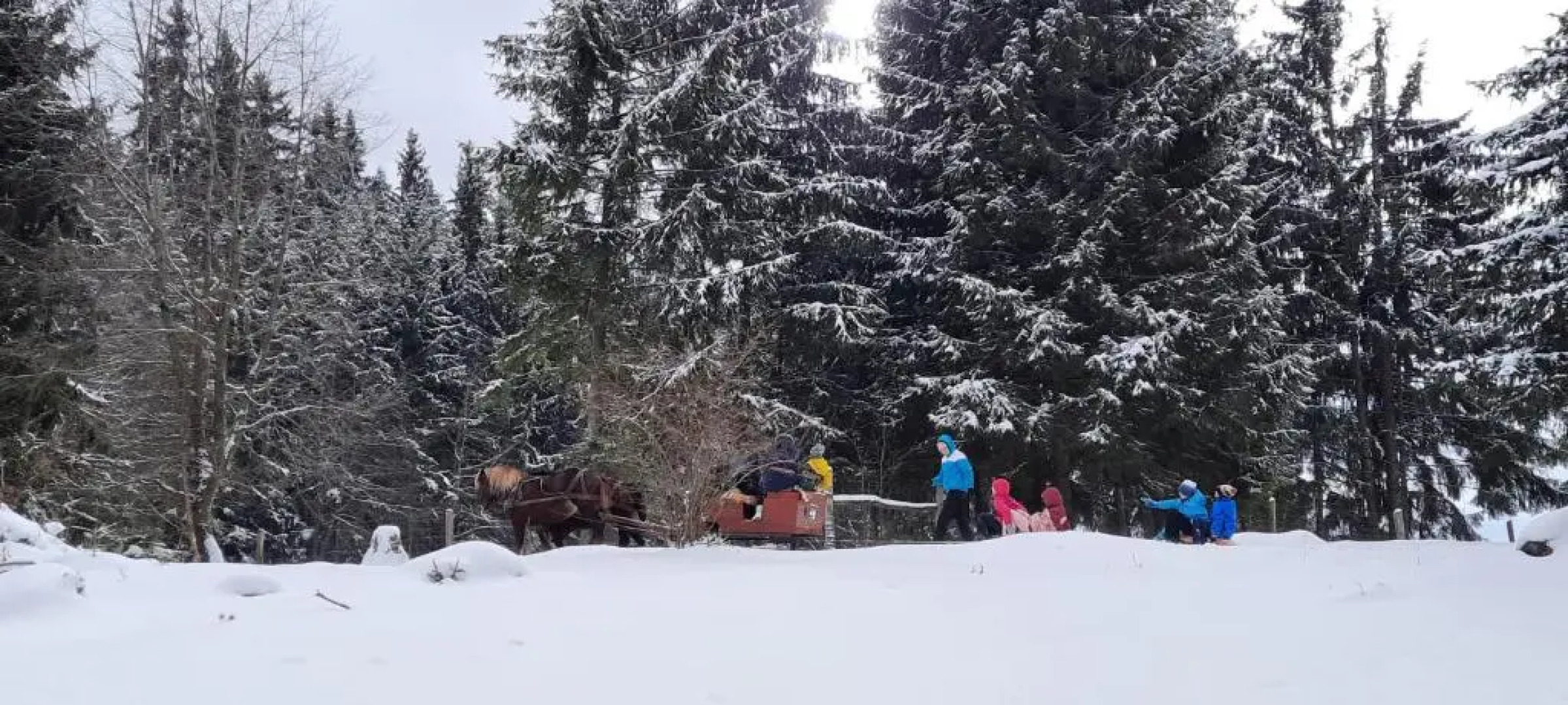 Csendes Bükk 2 Kulcsosház