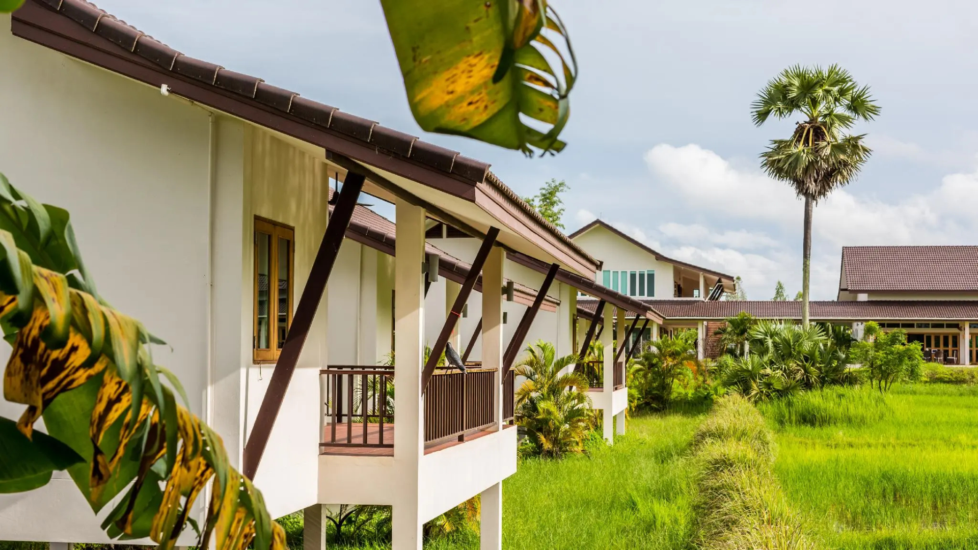 Pimali Foundation - Hospitality Training Center